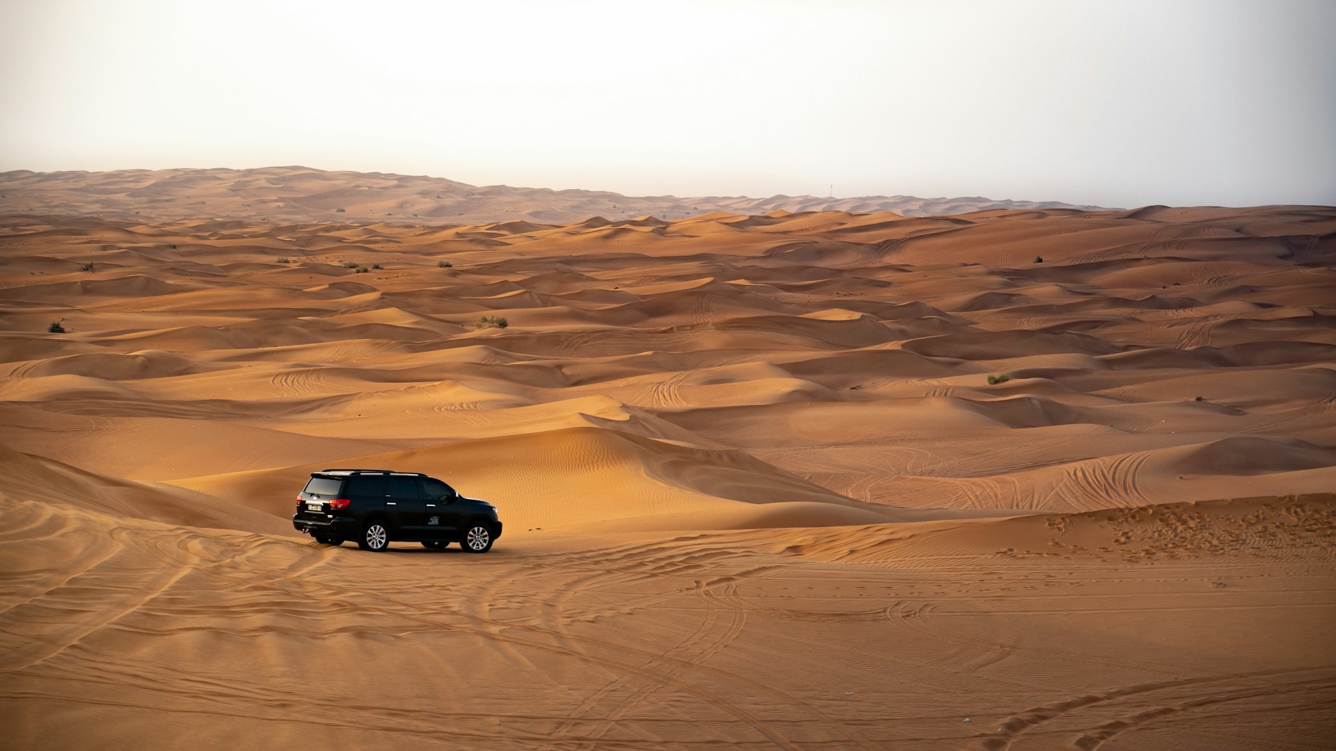 Unforgettable Desert Safari Tours in Dubai: Experience Adventure Like Never Before