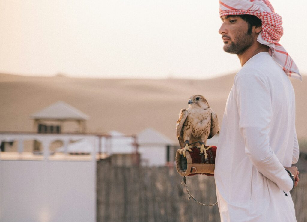 Desert Safari and Touring Packages